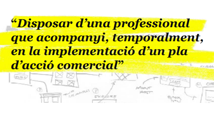 Interim Executive: Acompanyament En La Implementació D’un Pla D’acció Comercial